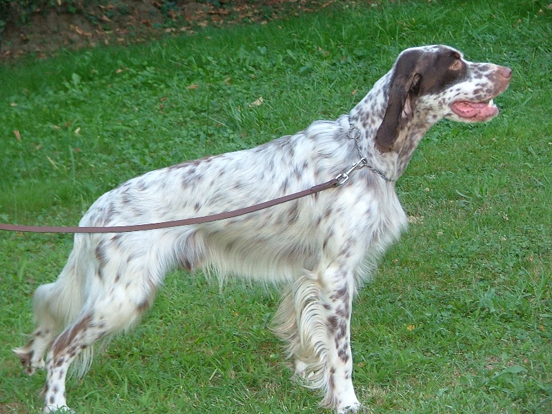Samuraï Di val di chiana