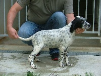 CHIOT